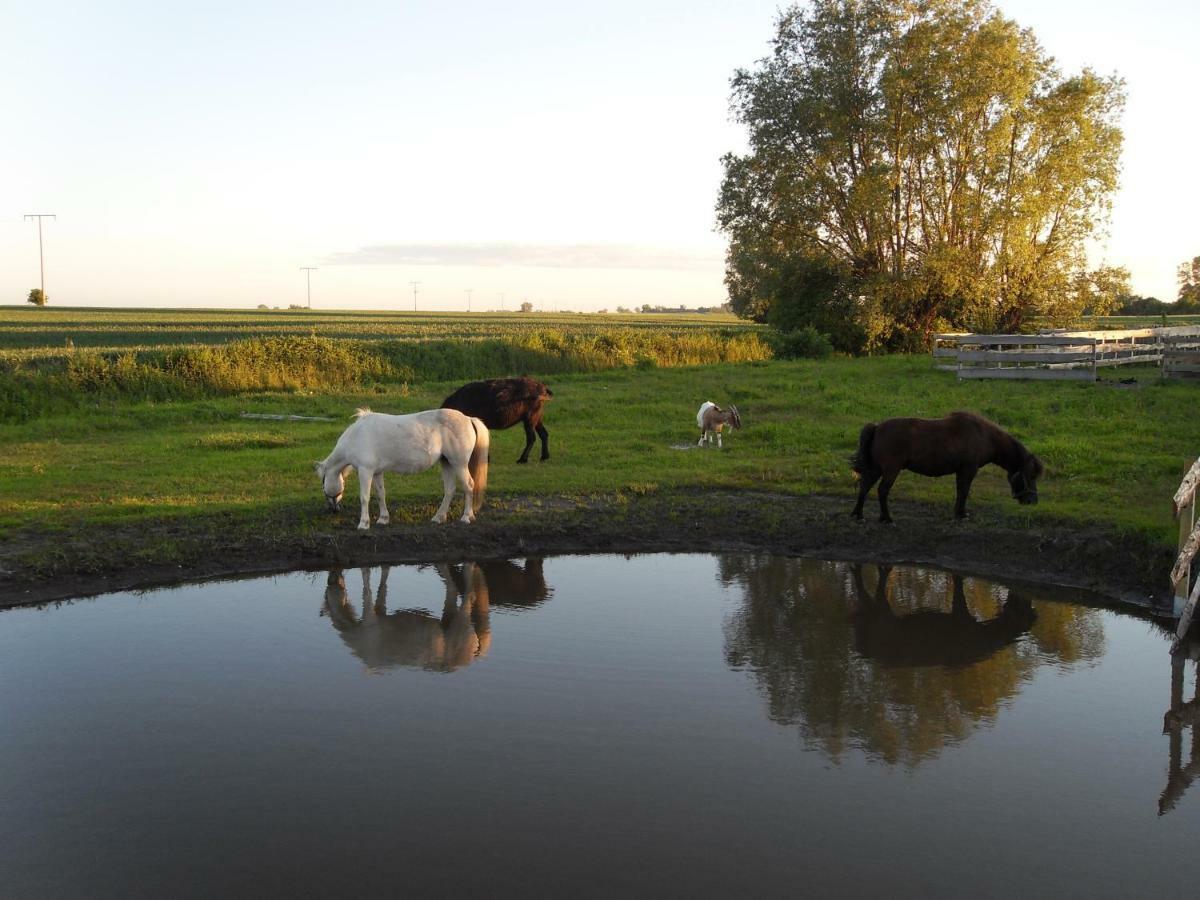 Horse Lake Ranch Neuendorf  Eksteriør billede